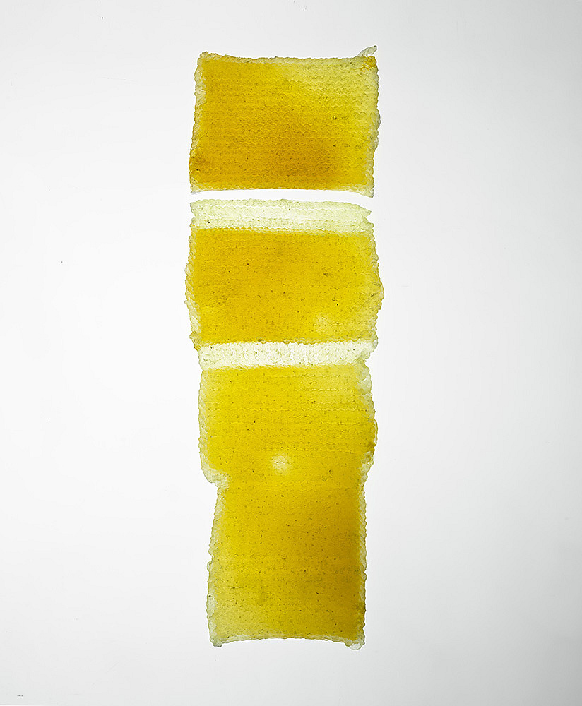 Flickenturm I, Epoxiharz durch Licht, 450 x 140 x 8 mm, 2023. Fotos: Felix Streuli - Epoxiharz